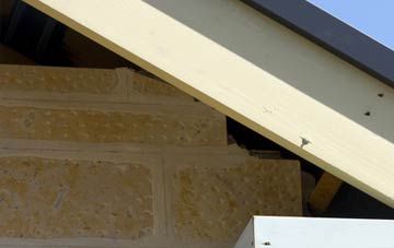 soffit repair Bwlch Y Sarnau